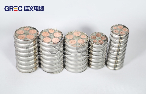 HFTGB不锈钢柔性东北好色先生在线下载厂家