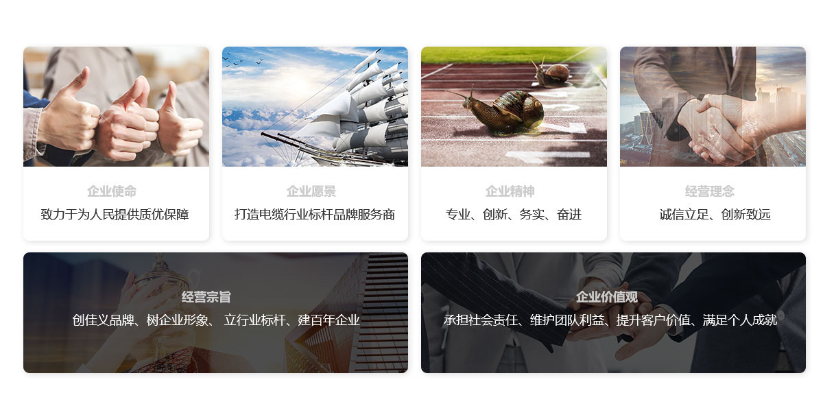 辽宁好色先生TV在线播放电缆有限公司